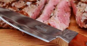 Steakchamp Steakmesser im Test bei Living BBQ k Header