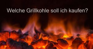 Grillkohle kaufen, aber welche? Holzkohle, Briketts, Kokoskohlen? Welche Grillkohle kaufen?
