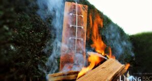 Flammlachs aus der Feuerschale vom Flammlachs-Brett Flammlachs Feuerschale Flammlachs-Brett
