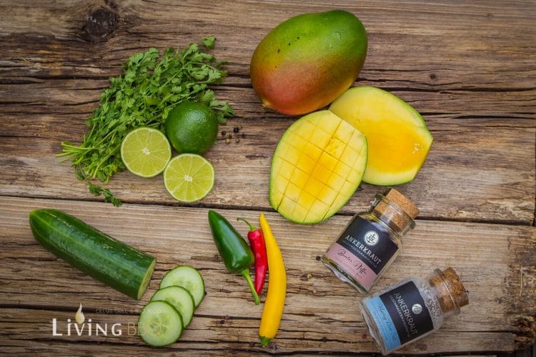 Mango Salsa mit Gurken als einfache und leckere Beilage - LivingBBQ.de