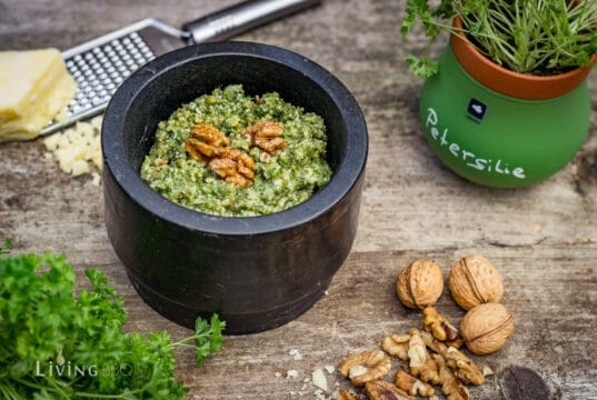 Walnusspesto Rezept aus frischen Kräutern fertiges Walnuss Pesto angerichtet