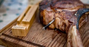 Meater+ (Plus) das kabellose Bluetooth Grillthermometer mit Cloudfunktion